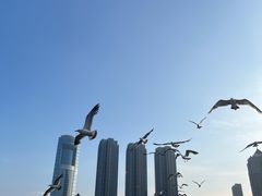 -星海广场