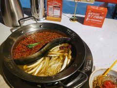 -钢管厂五区小郡肝火锅串串香(总店)
