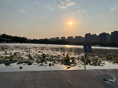 -南翔镇银翔湖公园