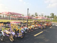 -春花秋色城市公园