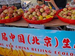 -中国农业博物馆