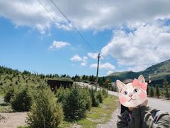 -灵山