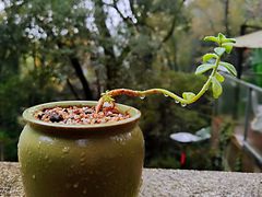 -润泽天·湘味家宴(岳麓山店)