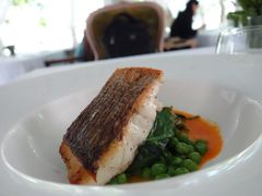 香煎海鲈鱼-蝶舍·MAISON PAPILLON