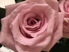 -ROSEONLY诺誓(磐基中心店)