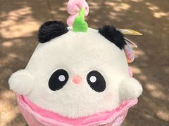 -广州长隆野生动物世界