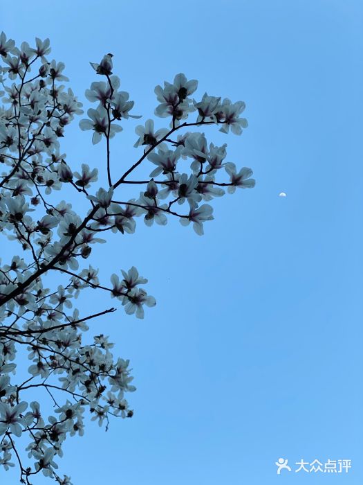 静安雕塑公园图片