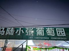 -马陆小张葡萄园农家乐