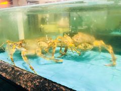 -西贝海鲜汇(槐安路店)