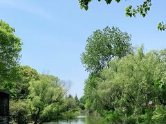 -上海滨江森林公园