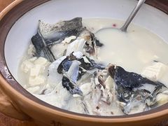 -全乐鱼馆·淳牌有机鱼直营店