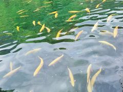 -丽江玉水寨