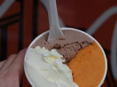-Dip in Gelato(富民路店)