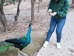 -西安秦岭野生动物园
