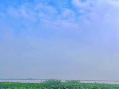 -七的湖·晚芳亭·阳澄湖农家菜·大闸蟹(莲花岛店)