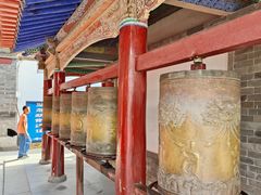 -塔尔寺-菩提树