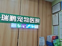 -瑞鹏宠物医院·夜间急症·心超·猫科(祖庙分店)