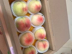 -老袁家蜜桃农场·阳山水蜜桃