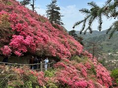 -木兰云雾山