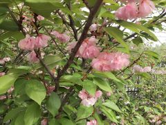 -石家庄市动物园