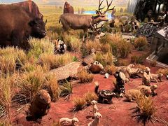 -陕西自然博物馆