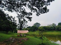 -东莞植物园