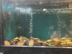 -聚鑫阁江浙菜·非遗传承技艺(青村帝华园店)
