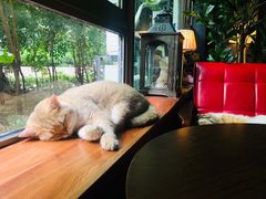 -咖法森林·咖啡  酒吧(天河店)