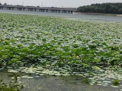 -丁香湖公园