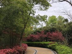 -同里国家湿地公园