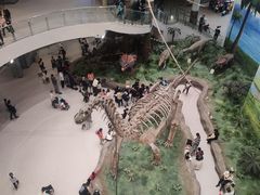 -辽宁古生物博物馆