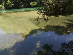 -1973继光香香鸡(曲阳路店)