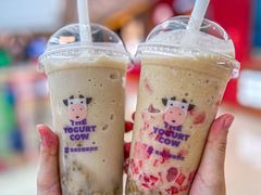 -一只酸奶牛(曲江龙湖星悦荟店)