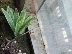 -意满花千醉(金茂览秀城店)