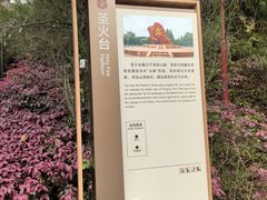 -炎帝陵景区