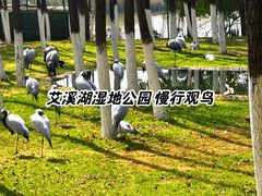 -艾溪湖湿地公园