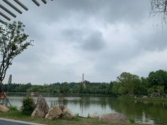 -祥源·阜阳生态乐园