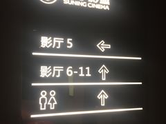 -苏宁影城(激光沙发)