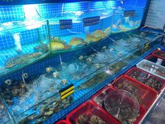 水产区-望海潮海鲜店 特色家常菜(在海一方店)