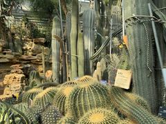 -国家植物园南园