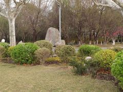 -郑州植物园