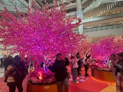 -新城市广场