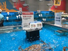 -盒马鲜生(领丰汇店)