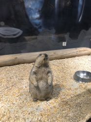 -酷嗒动物文化乐园(cutezoo西溪乐天城店)