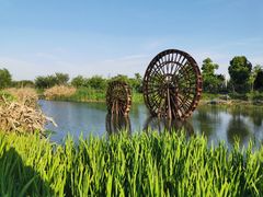 -长田漾湿地公园