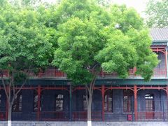 -北京师范大学附属中学