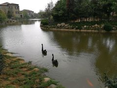 -芭东小镇温泉