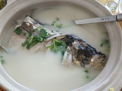 -天乐农家鱼头王(天目湖店)