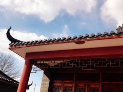 -大港湿地公园