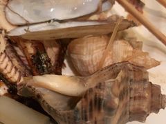 -马哥孛罗咖啡厅·Cafe Marco (厦门马哥孛罗东方大酒店)